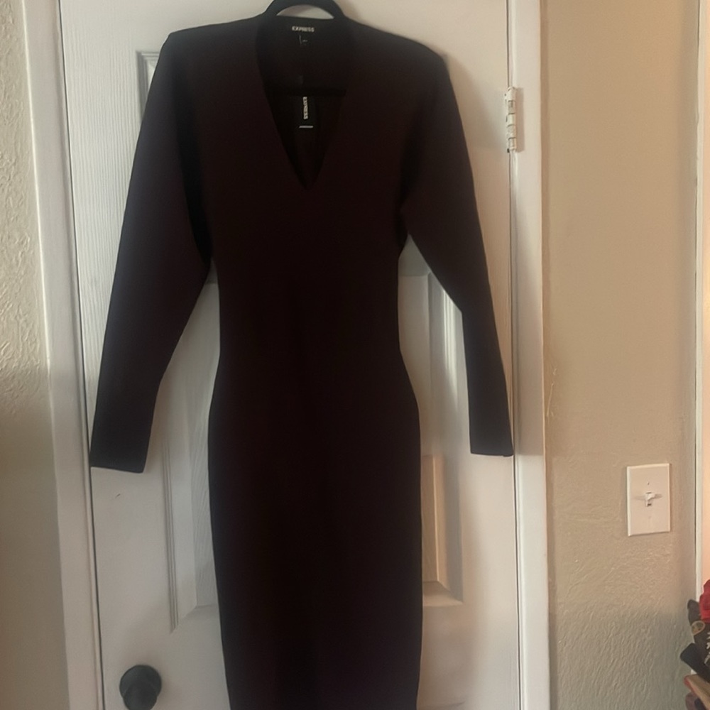 NWT Express Dress